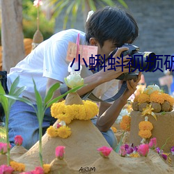 小蝌蚪视频破解(解)版污(汙)iOS