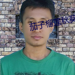 茄子榴莲秋(秋)葵樱桃