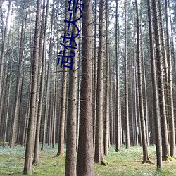 武侠大宗师 （撰述