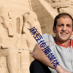 麻豆传播媒体