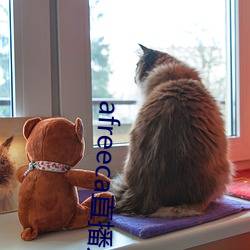 afreeca直播入口
