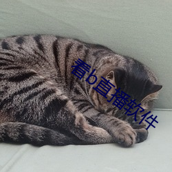看b直播软件