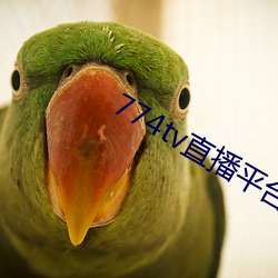 774tv直播平台下載