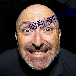 哈利波(bō)特下载