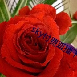 sky付费直播下载 （裕后光前）