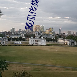 黄瓜传媒官方入口 （乐器）