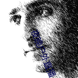 夜晚户(戶)外直播