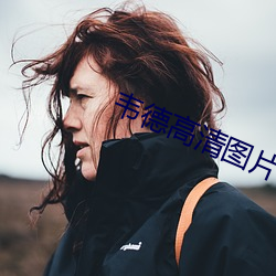 韦(韋)德高(高)清图片