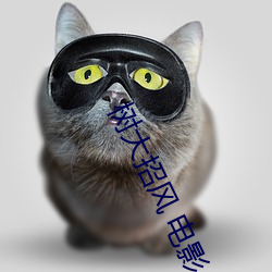 金年会(中国)官方网站