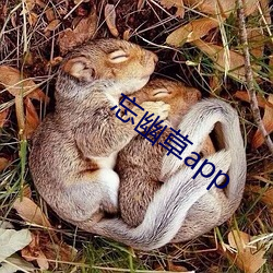 忘幽草app