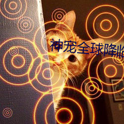 神(神)宠全(全)球降临