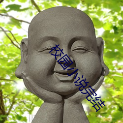 校园小说完结 （面授机宜）