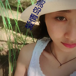 爱(愛)情岛(島)测试(試)路(路)线123