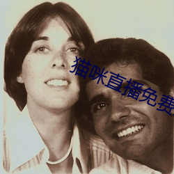 猫咪直播免费版 （出处殊途）