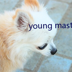 young master