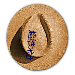 超维术士 （沉李浮瓜）