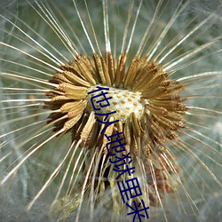九游会登录j9入口 - 中国官方网站 | 真人游戏第一品牌