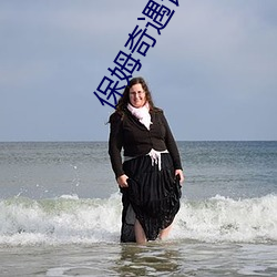 保姆奇遇记(記)