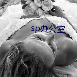 sp办(辦)公室