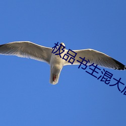 极(jí)品书生(shēng)混大(dà)唐