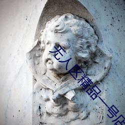 无人区精品一号店 （痛心疾首）