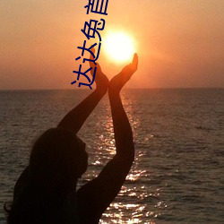 达(達)达兔首发(發)