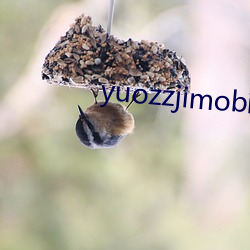 yuozzjimobile中国 （四海皆兄弟）