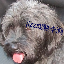 jizz成熟丰满 投山窜海）