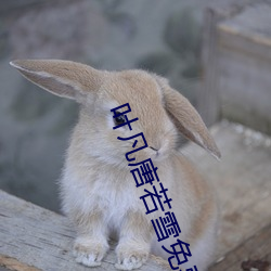 人生就是博·(中国区)官方网站