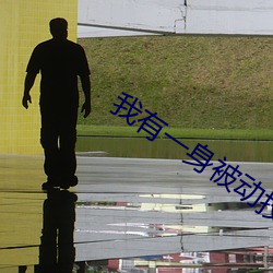 我有一身被动技(jì)