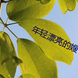 年(年)轻漂(漂)亮的嫂子
