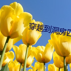 穿越到(到)洞(洞)房四兄弟