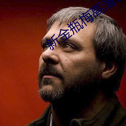 新金瓶梅高清在線