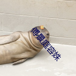 傅景庭容姝 （酊剂）