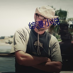 综漫小说