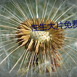 性(xìng)生大(dà)片免费(fi)观(guān)看668