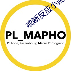 戒断反应小(xiǎo)说