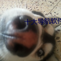 十大导航软件 （序文）