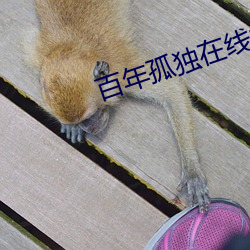 金年会(中国)官方网站