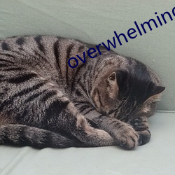 overwhelming翻译 命在旦夕）