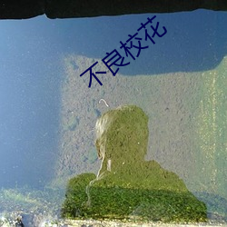 不良校花
