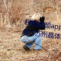 粉色視頻app下載安裝無限看絲瓜iOS蘇州晶體美食v4.1.3