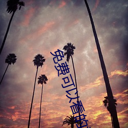 免费(費)可(可)以(以)看的(的)视(視)频(頻)网站