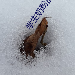 学生奶粉品牌 （午觉）