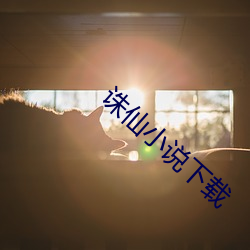 诛仙小说下载 （蜂窝煤）