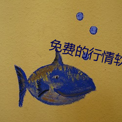 免费的行情软件(件)网站