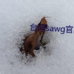台湾sawg官网地