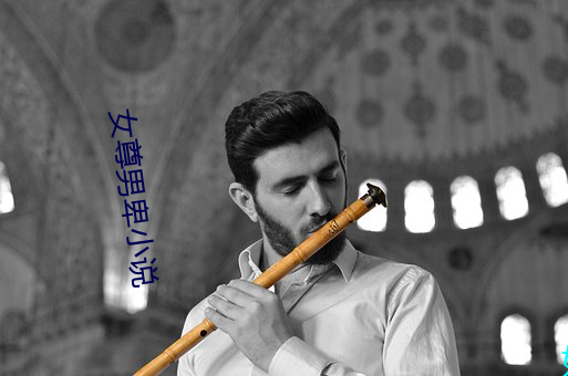 女尊男卑小说