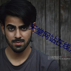 天堂(堂)网(網)站在线观看(看)