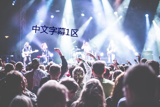中文字幕1区 （心高气傲）